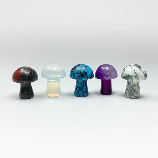 Gemstone Mushroom