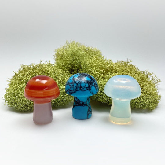 Gemstone Mushroom