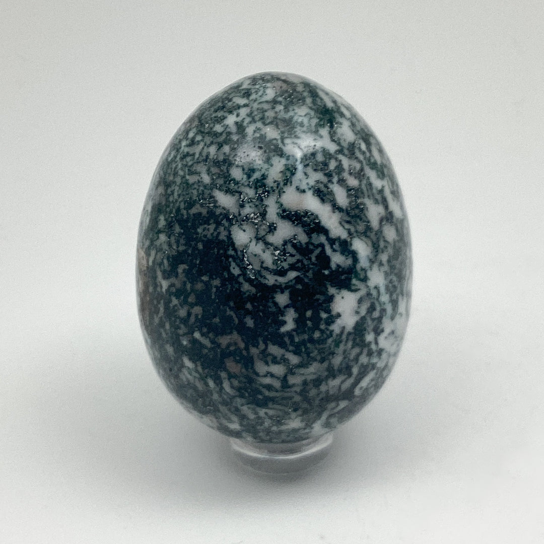 Tree Agate Egg