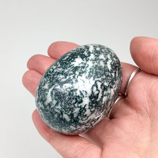 Tree Agate Egg