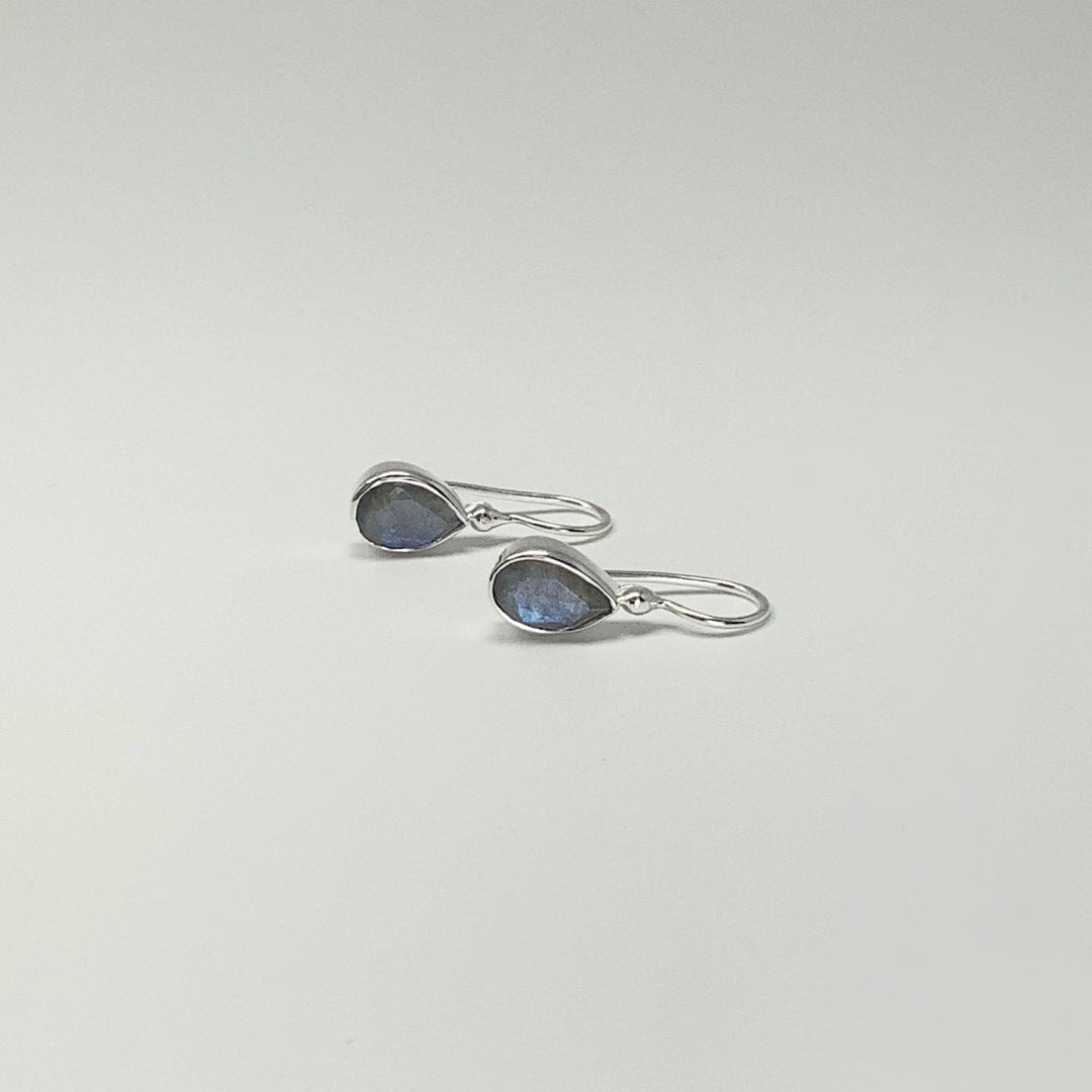 Labradorite Dangle Earrings