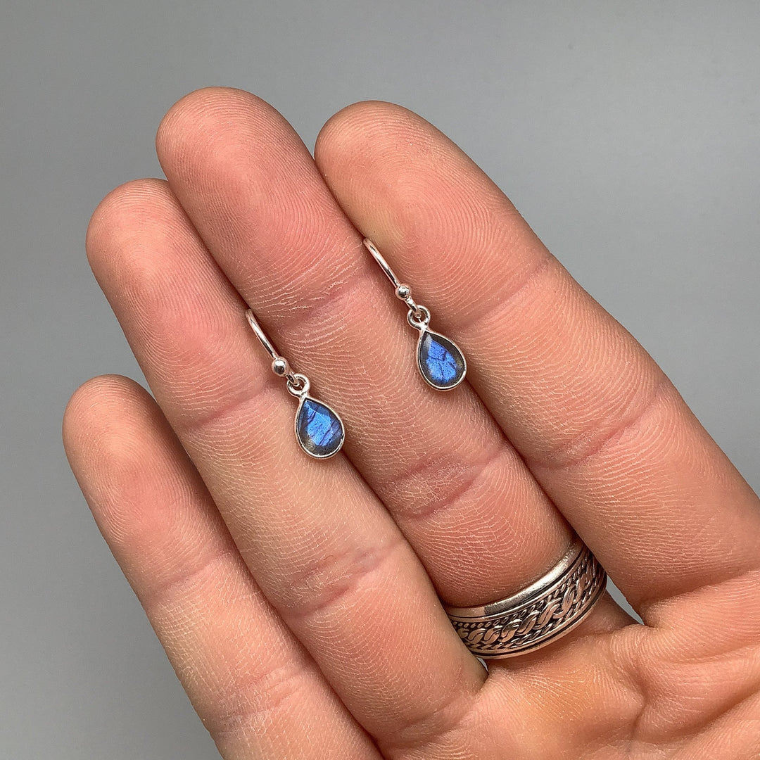 Labradorite Dangle Earrings