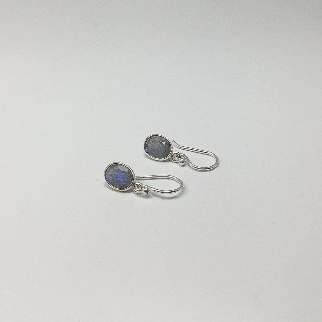 Labradorite Dangle Earrings