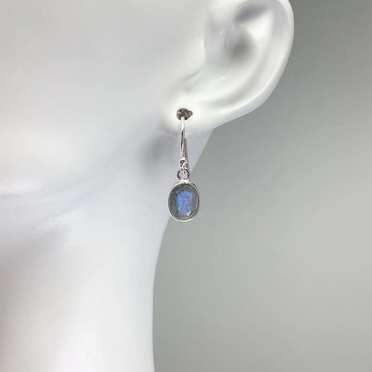 Labradorite Dangle Earrings