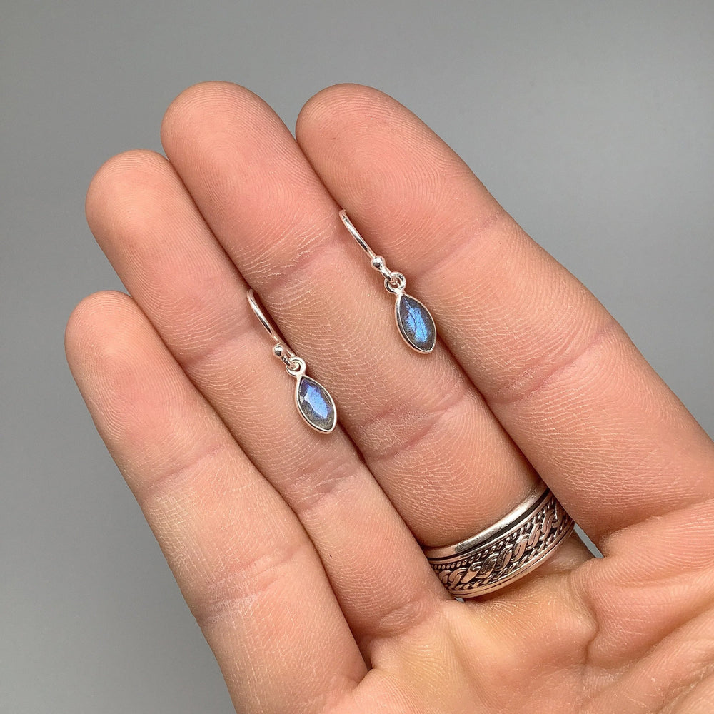 Labradorite Dangle Earrings