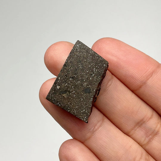 NWA Chondrite Meteorite Specimen