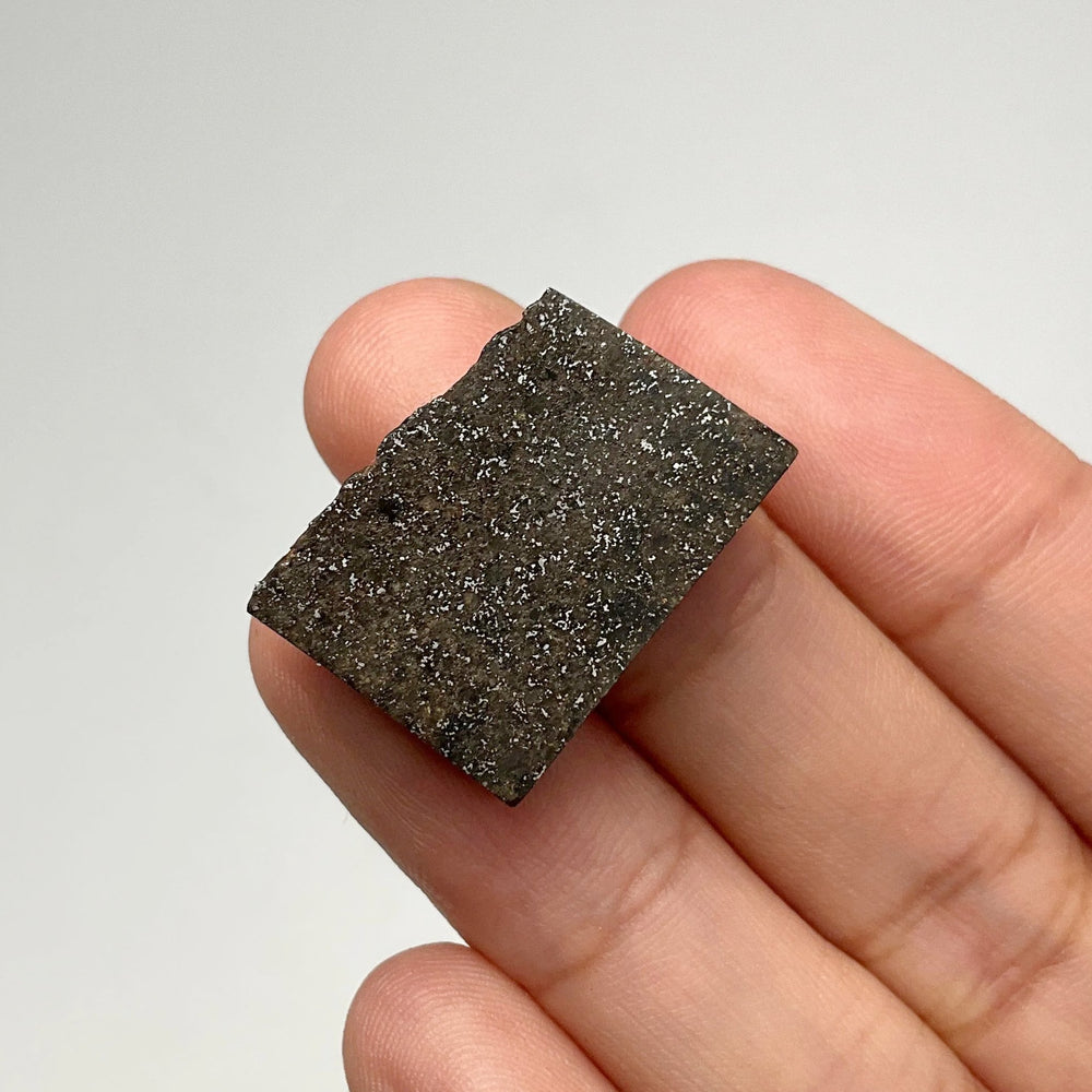 NWA Chondrite Meteorite Specimen