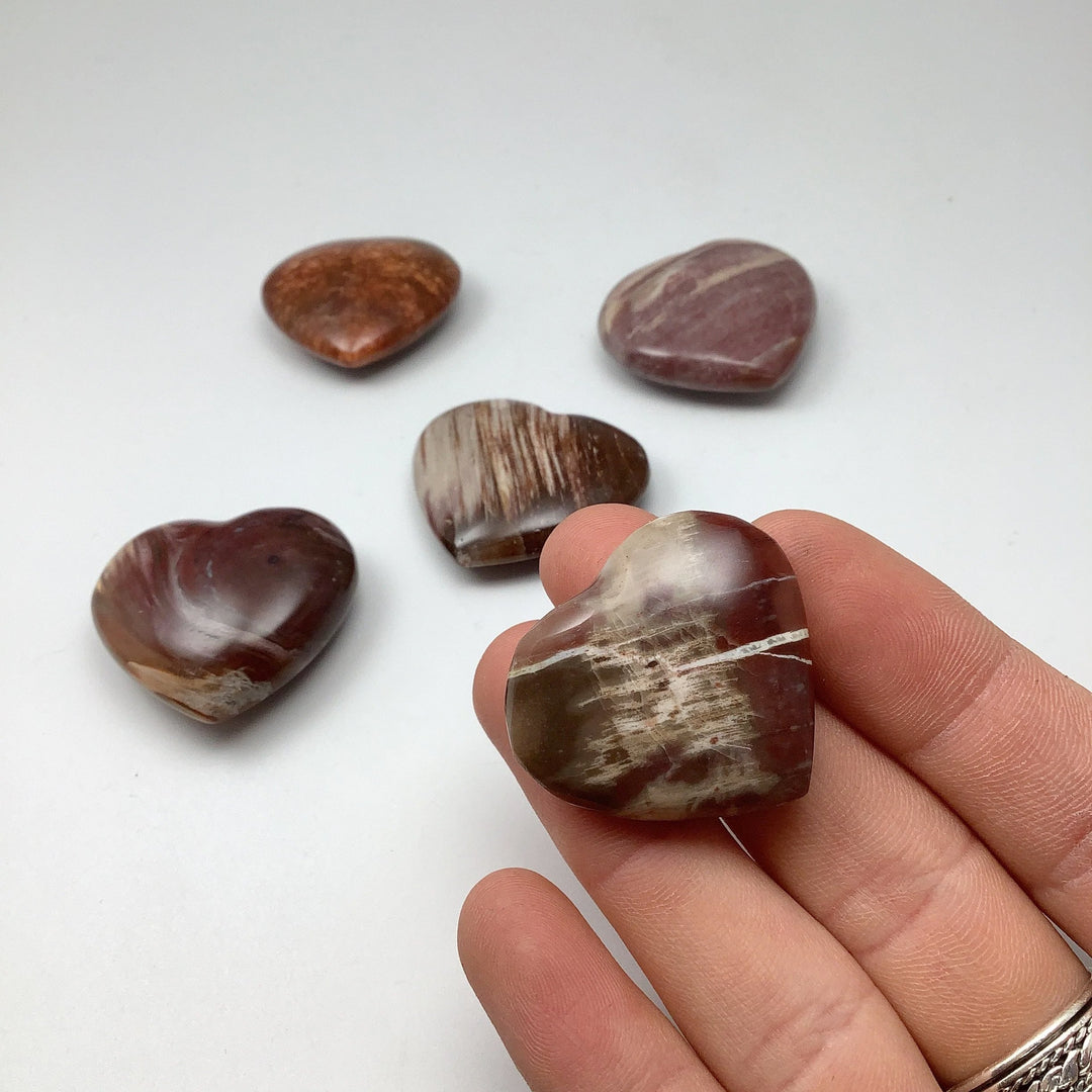 Petrified Wood Heart