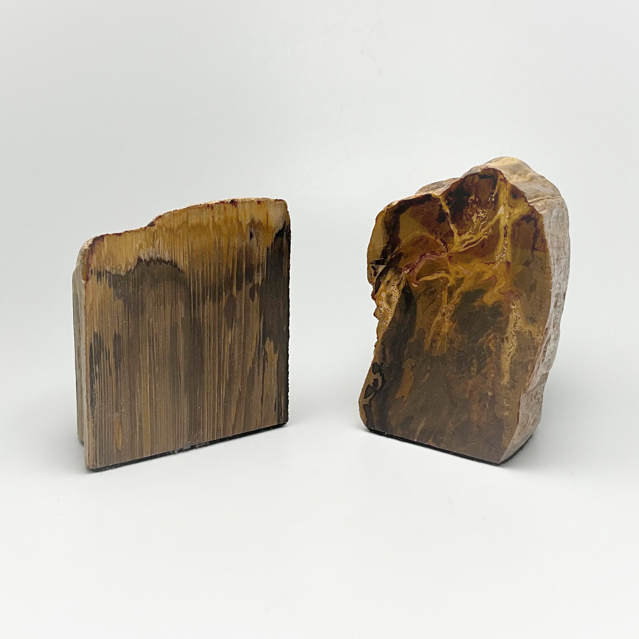 Petrified Wood Stand Up