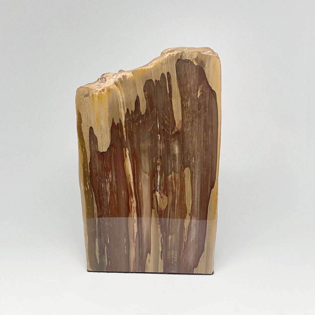 Petrified Wood Stand Up