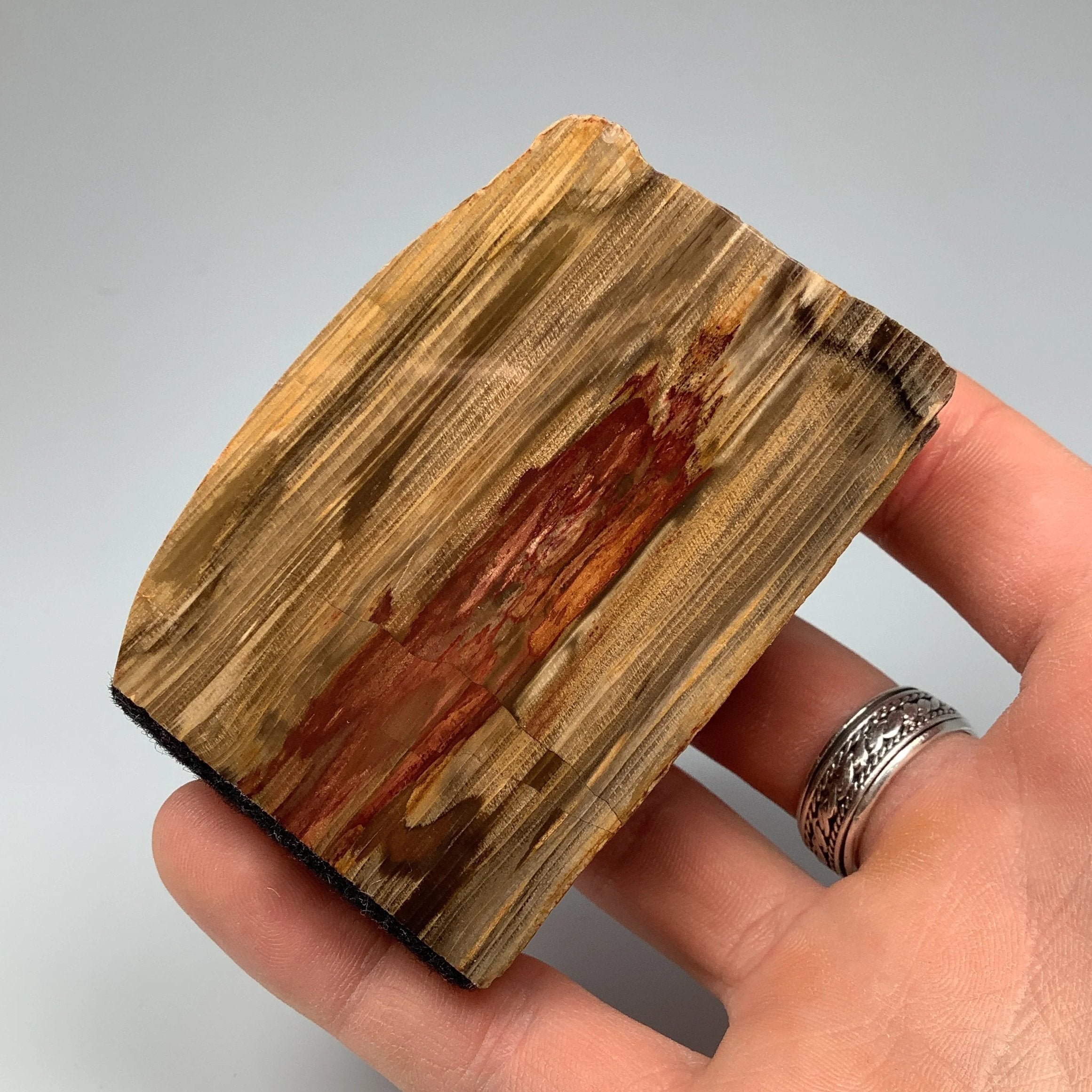 Petrified Wood Stand Up