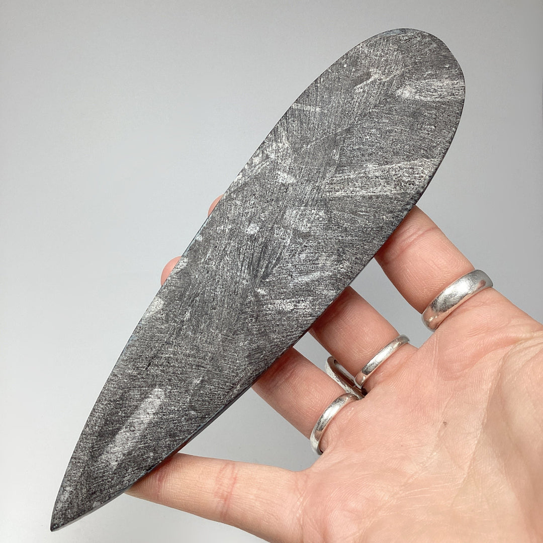 Polished Orthoceras Fossil