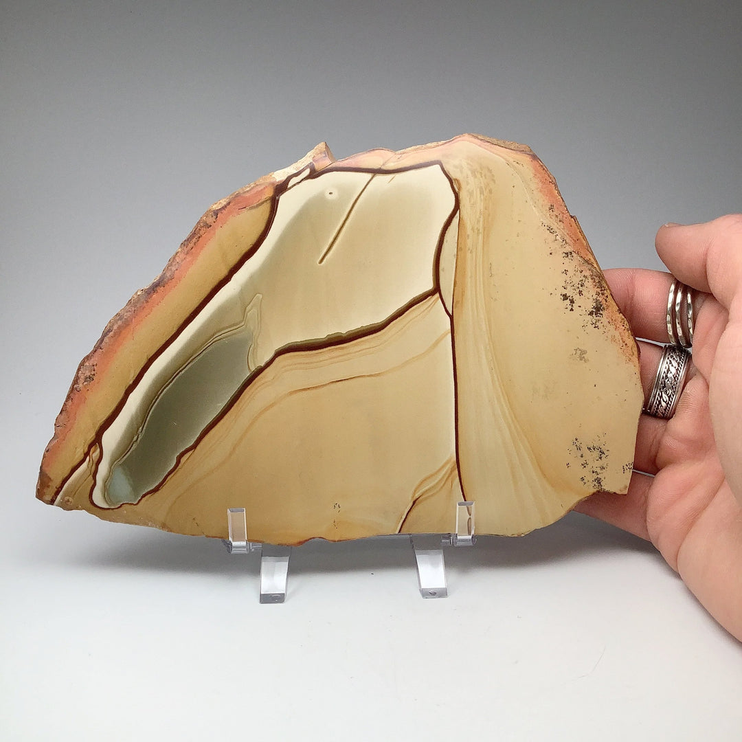 Polychrome Jasper Slice