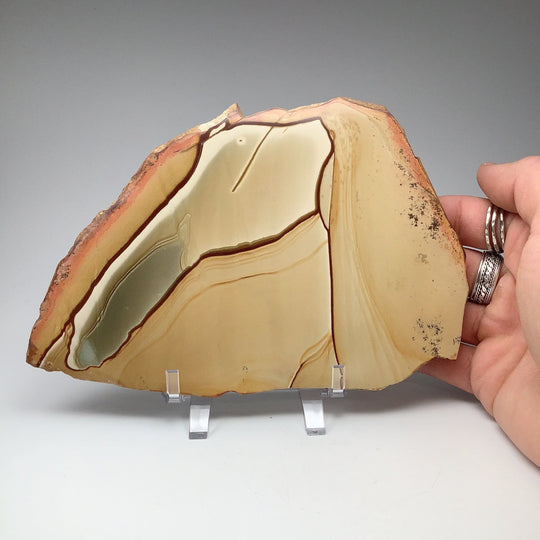 Polychrome Jasper Slice