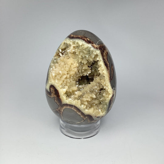 Septarian Egg