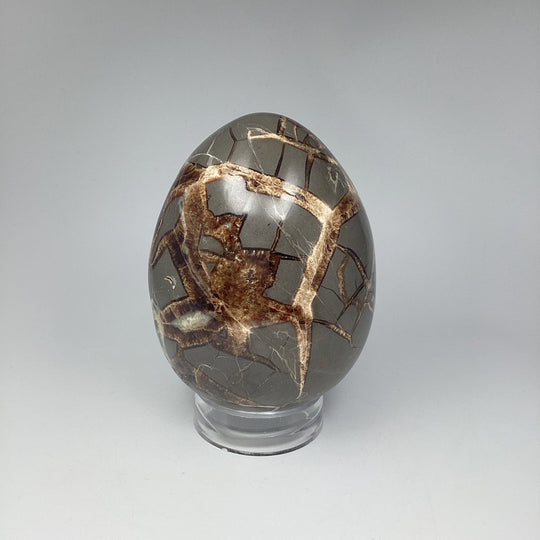 Septarian Egg