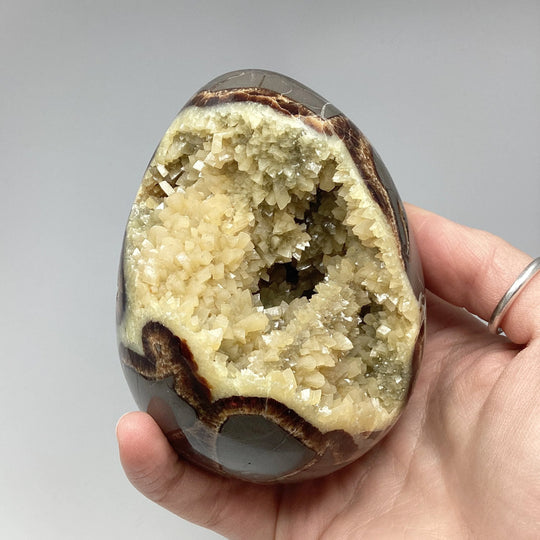 Septarian Egg