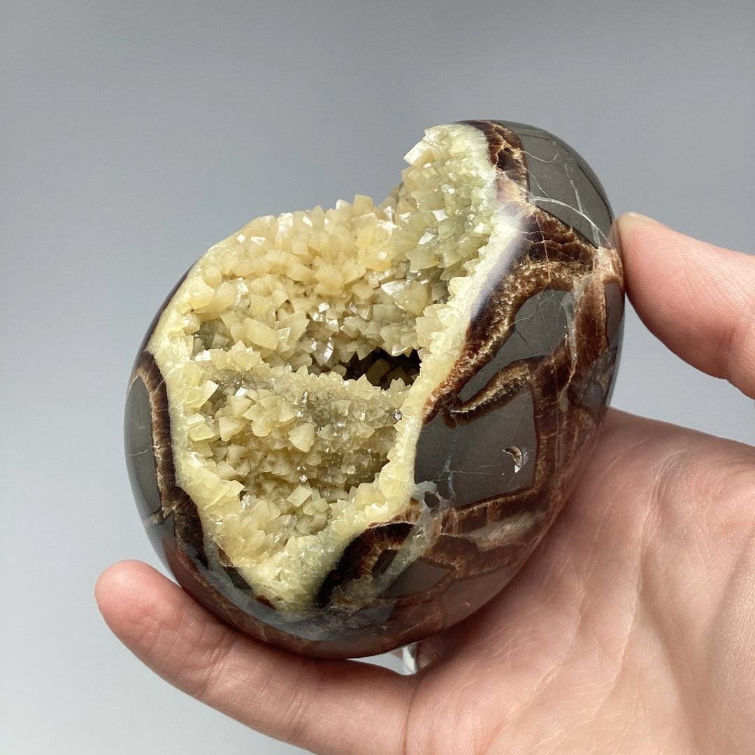 Septarian Egg