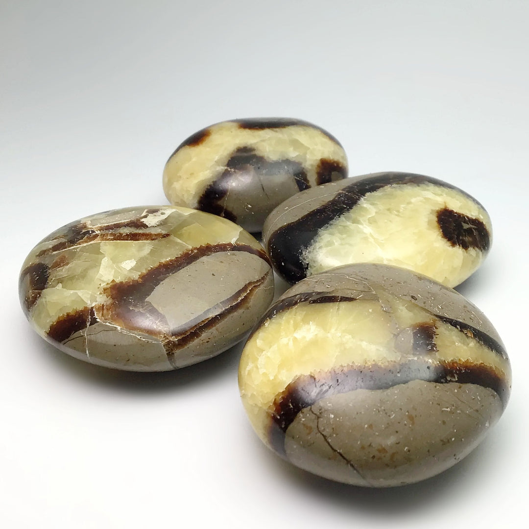 Septarian Tumble