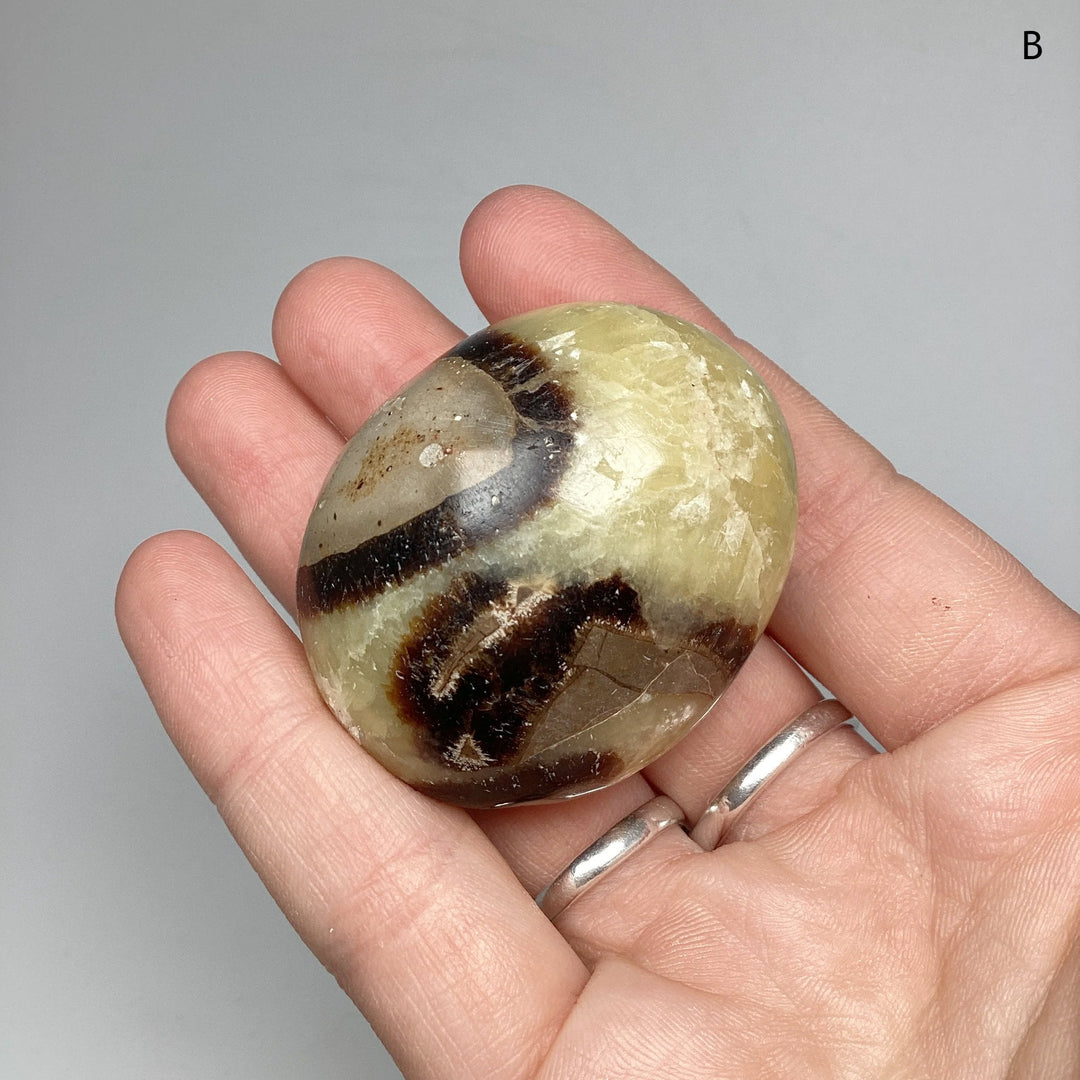 Septarian Tumble