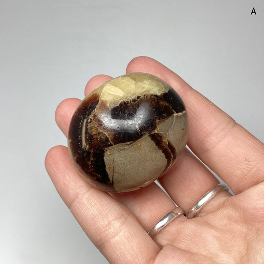 Septarian Tumble