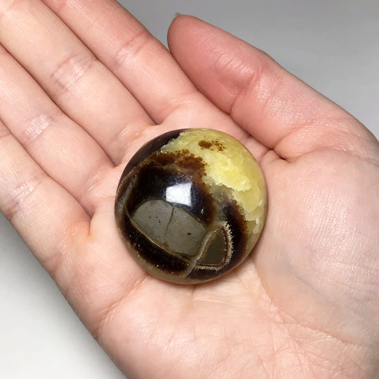 Septarian Tumble