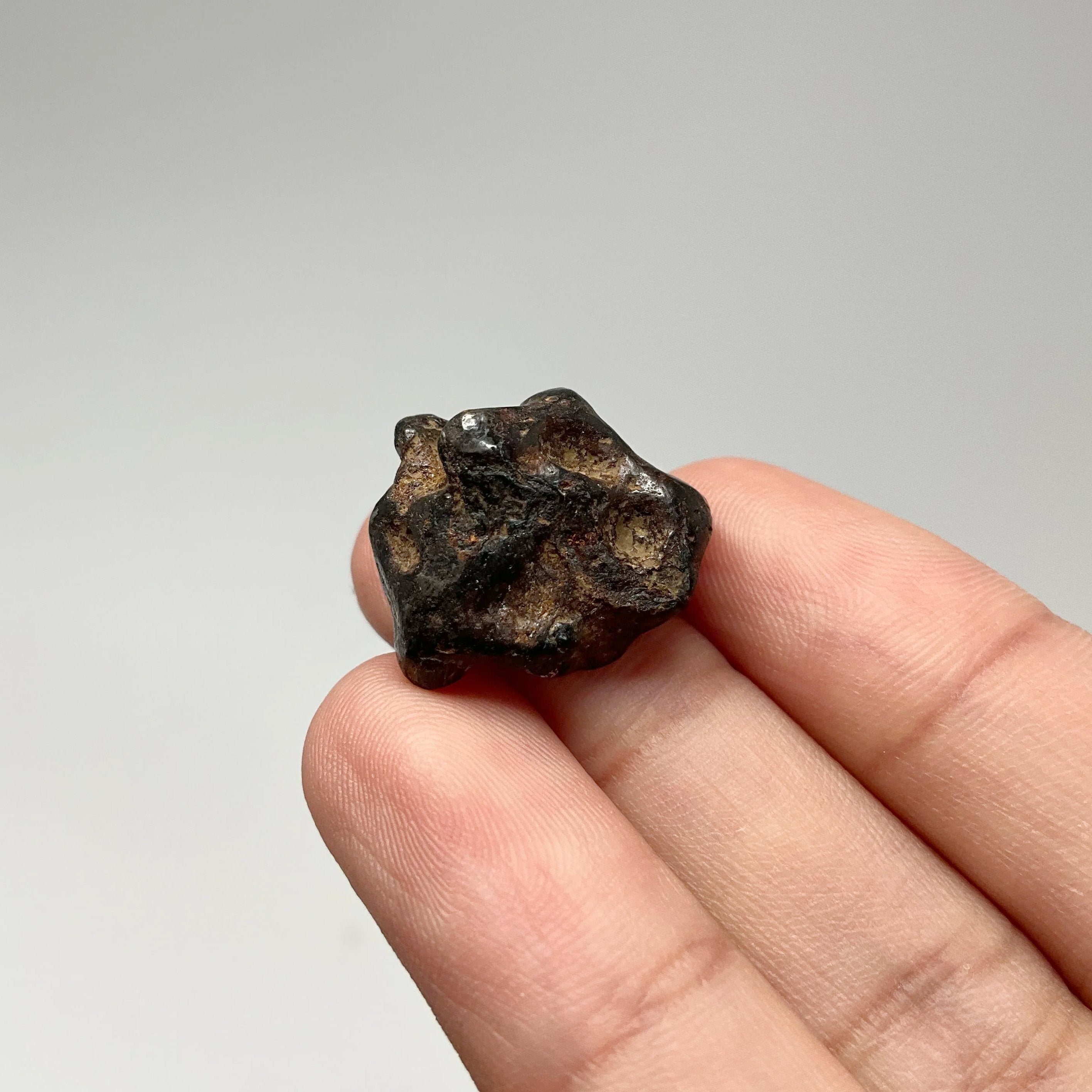 Sericho Meteorite