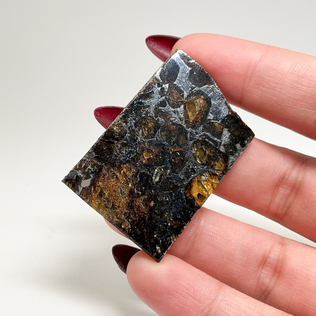 Seymchan Meteorite With Olivine