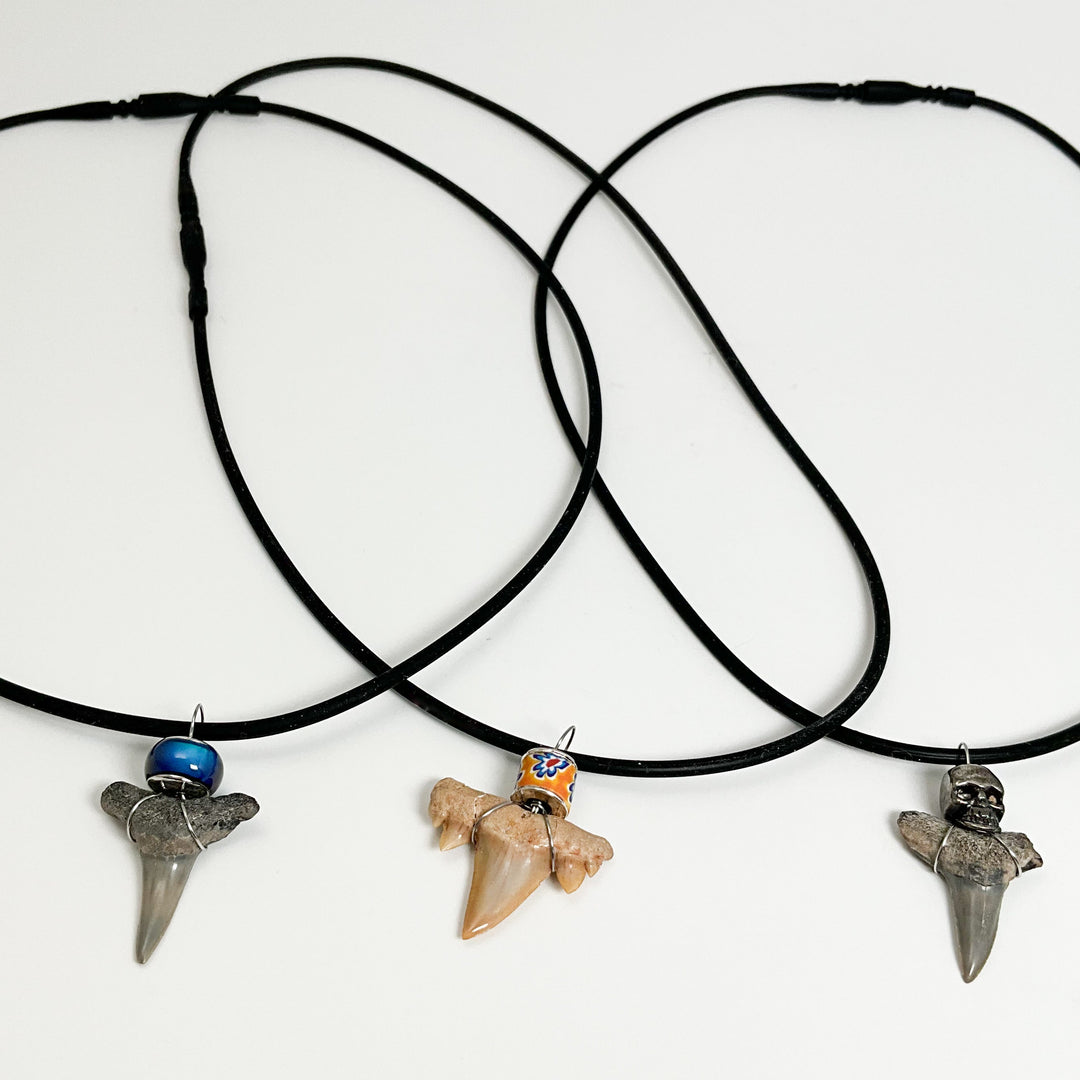 Shark Tooth Fossil Necklace