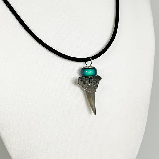 Shark Tooth Fossil Necklace