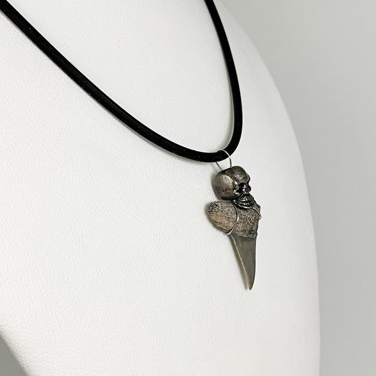 Shark Tooth Fossil Necklace