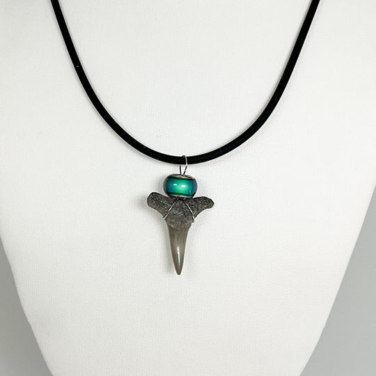 Shark Tooth Fossil Necklace