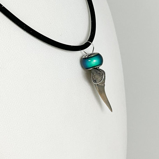 Shark Tooth Fossil Necklace