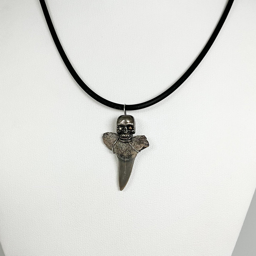 Shark Tooth Fossil Necklace