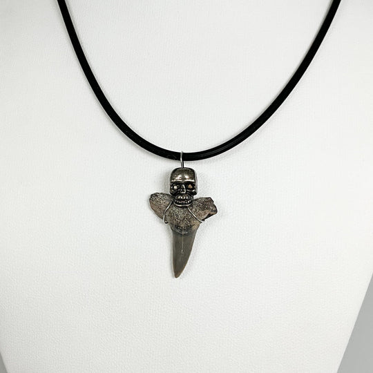 Shark Tooth Fossil Necklace