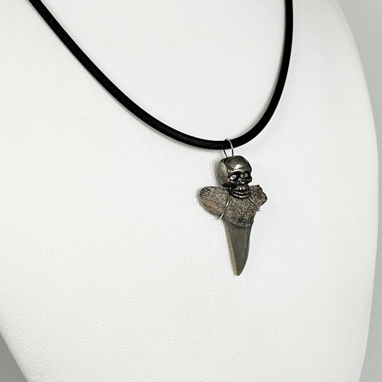 Shark Tooth Fossil Necklace