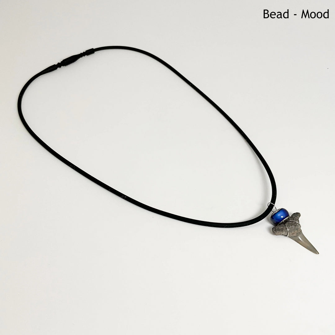 Shark Tooth Fossil Necklace