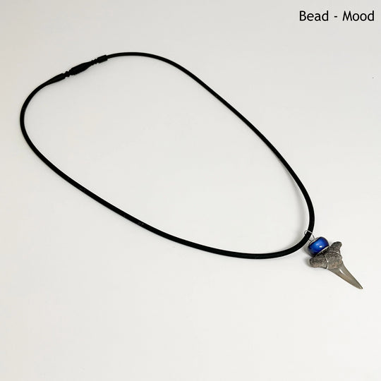 Shark Tooth Fossil Necklace