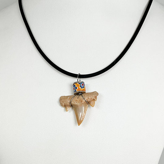 Shark Tooth Fossil Necklace