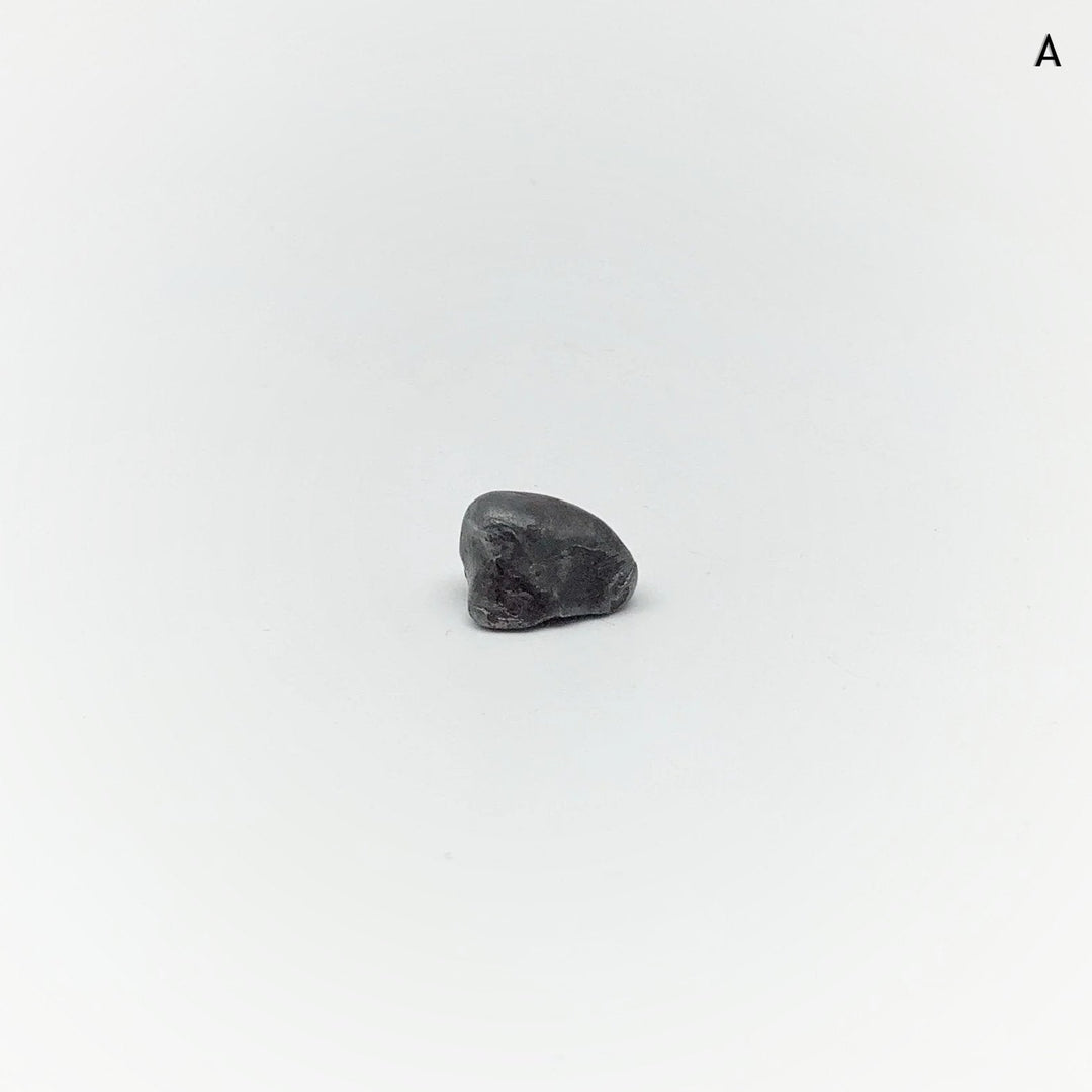 Sikhote-Alin Meteorite