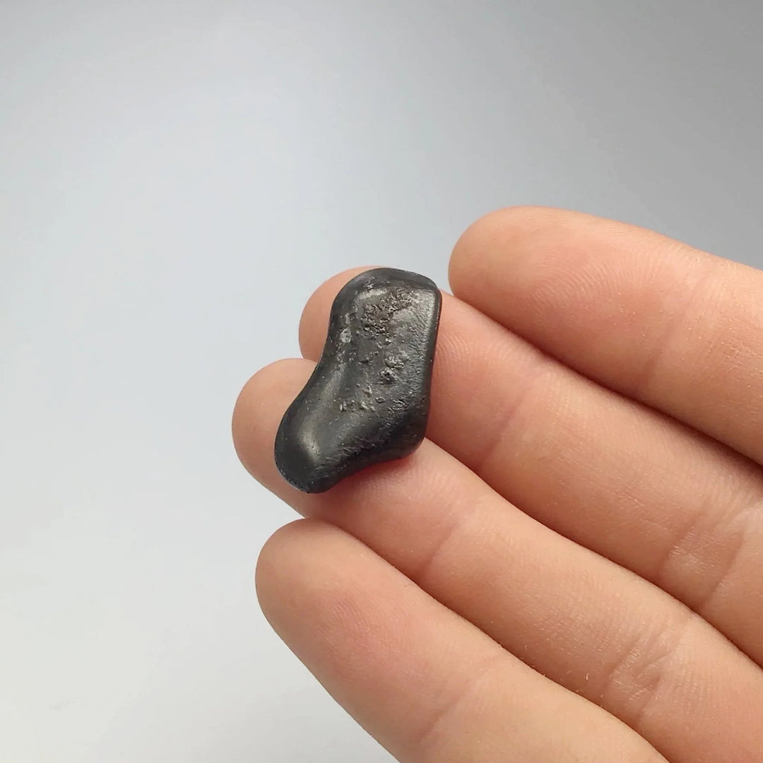 Sikhote-Alin Meteorite