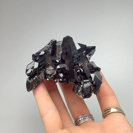 Smoky Quartz Cluster