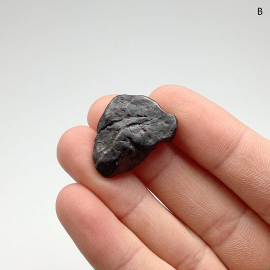 Uruacu Meteorite