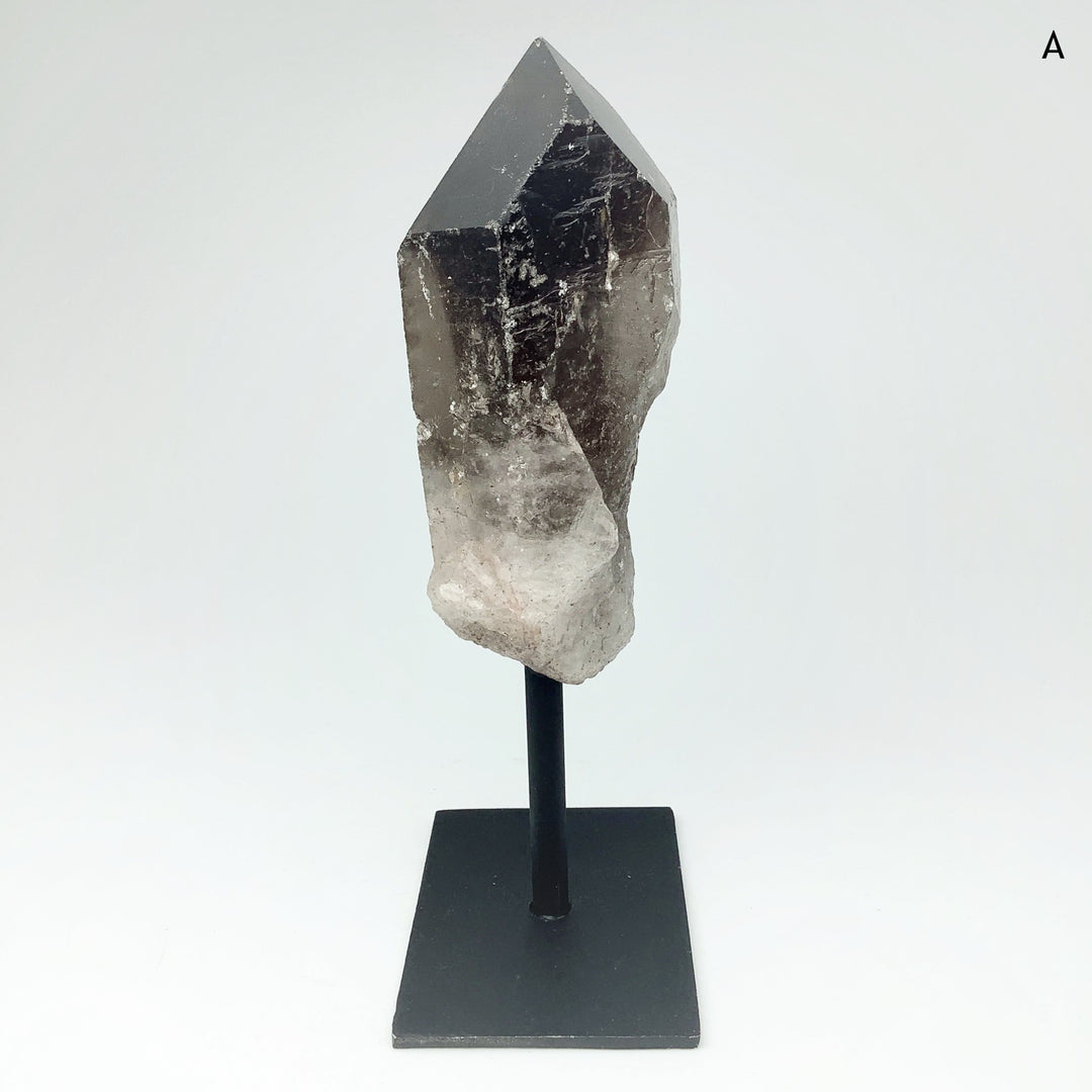 Rough Smoky Quartz on Display Stand