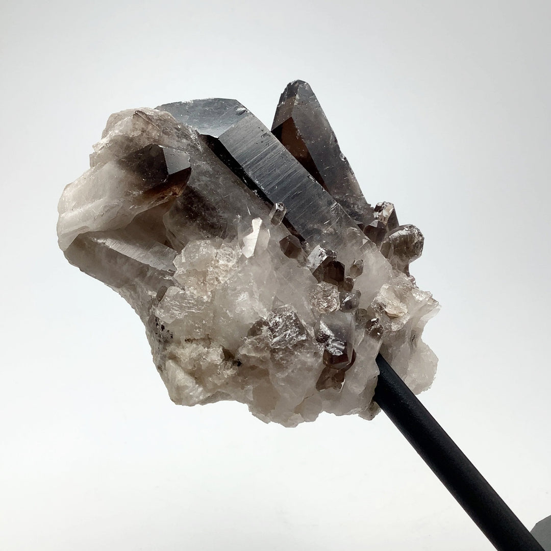 Smoky Quartz Cluster on Display Stand