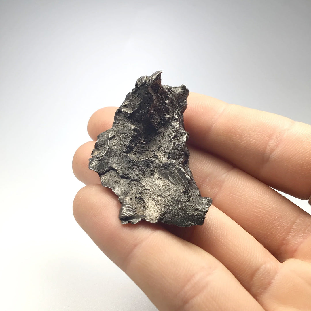 Sikhote-Alin Shrapnel Meteorite