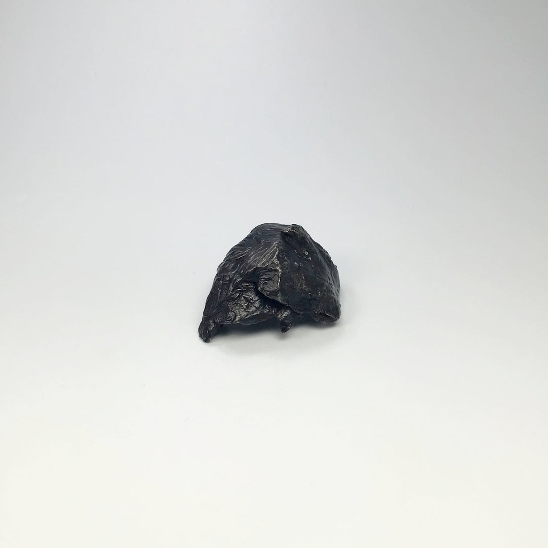 Sikhote-Alin Shrapnel Meteorite