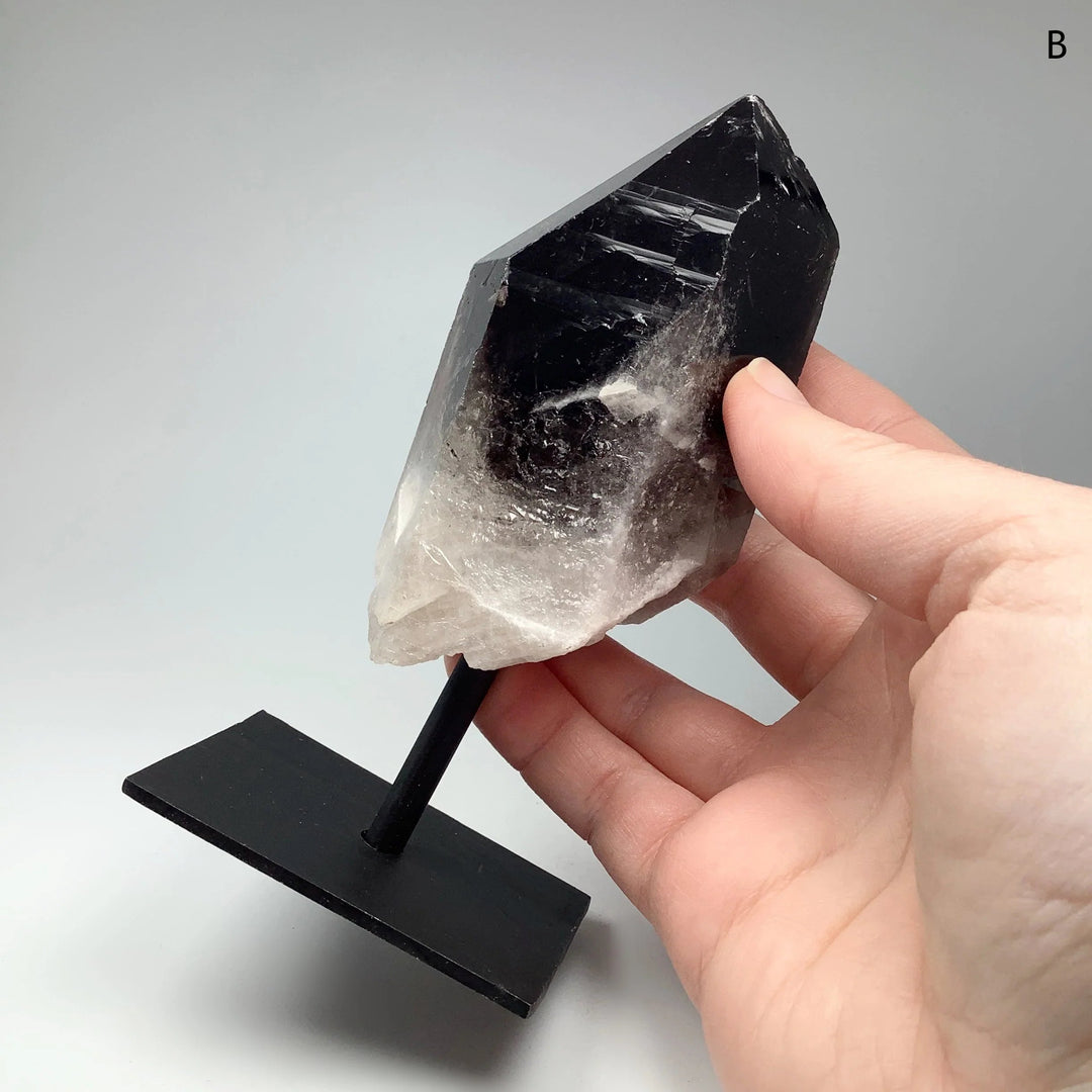 Rough Smoky Quartz on Display Stand