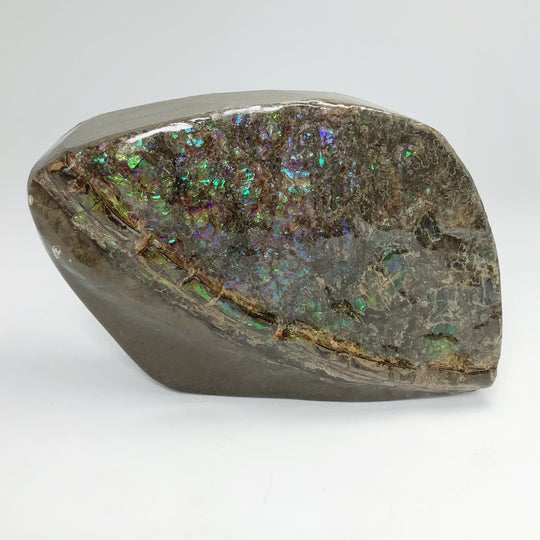 Ammolite Specimen