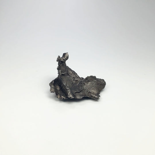 Sikhote-Alin Shrapnel Meteorite